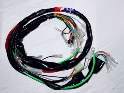 Picture of Wirring  100% (Pc) - SAGA - Star - JH90 ( 30 wires )